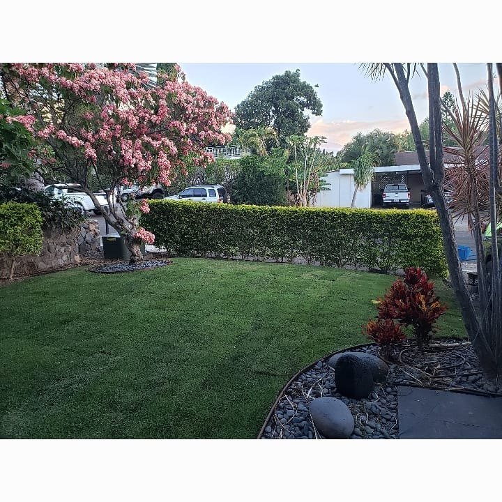A manicured residential yard maintained by Maui Landscape and Irrigation