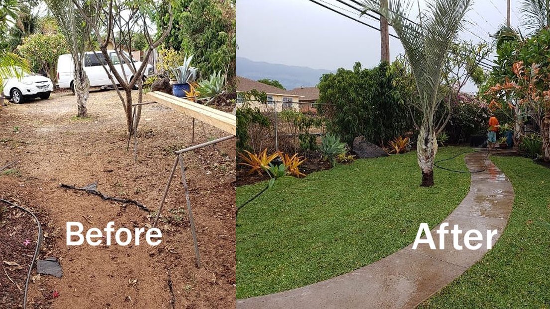 Before and after: a bare dirt yard transformed into a full green lawn